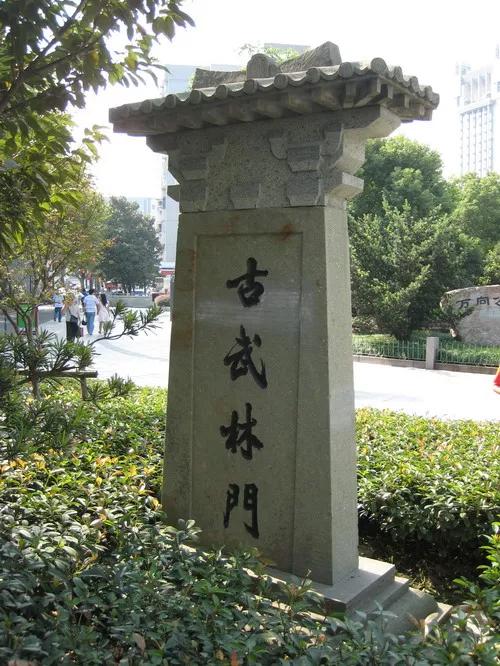 杭州三大怪是哪三怪还是三怪,杭州西湖八怪