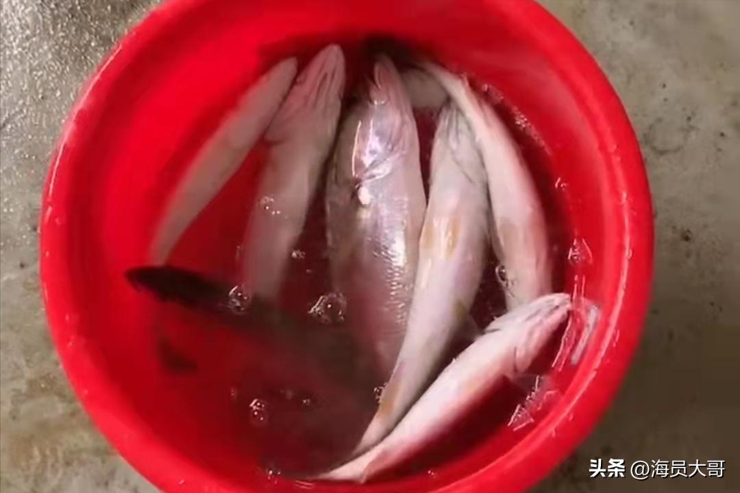 国际海员国庆节船上聚餐,海员在船上的海鲜大餐