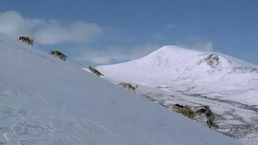 最美的电影瞬间,最美的电影片段