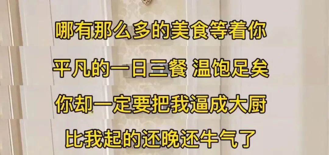 模范夫妻翻车视频,“网红翻车夫妇”惨遭打脸