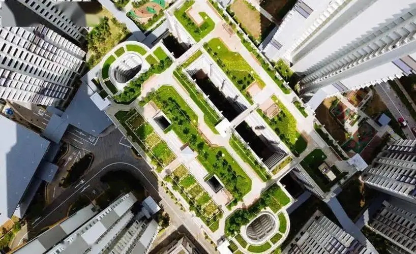 绿色屋顶在绿色建筑中的作用,温哥华典型建筑