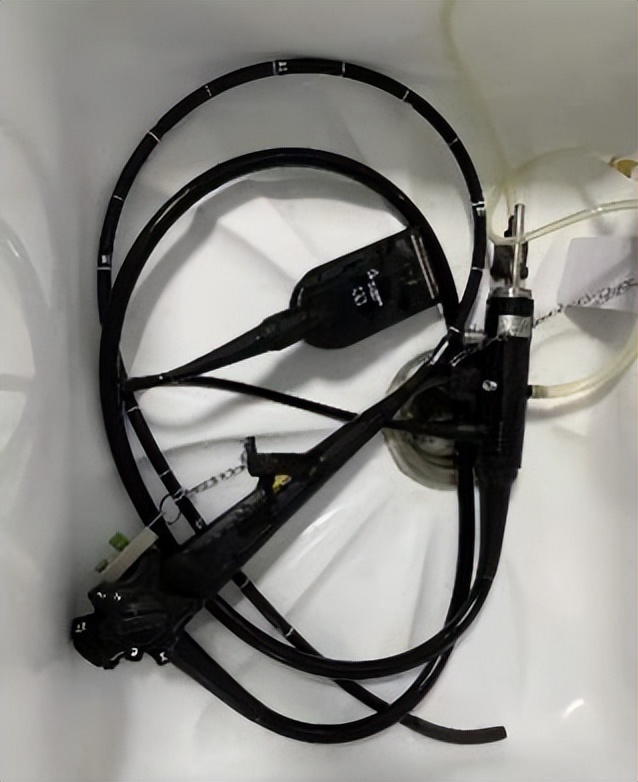 「掌健识」国际护胃日:胃镜,你了解吗?