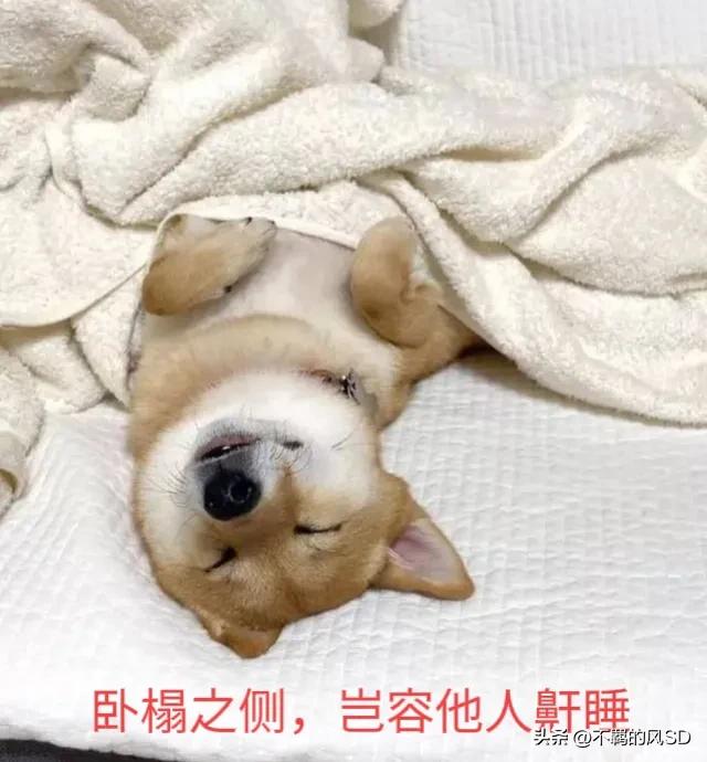 关于风景的李白的诗,李白的游记诗词