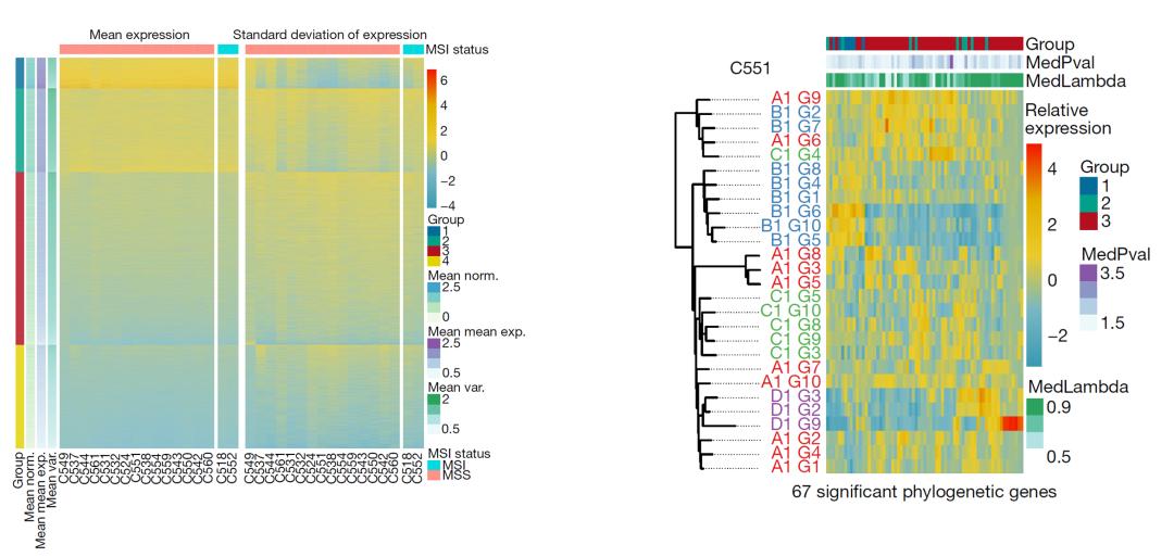 背靠背nature|空间多组学解析肿瘤演化