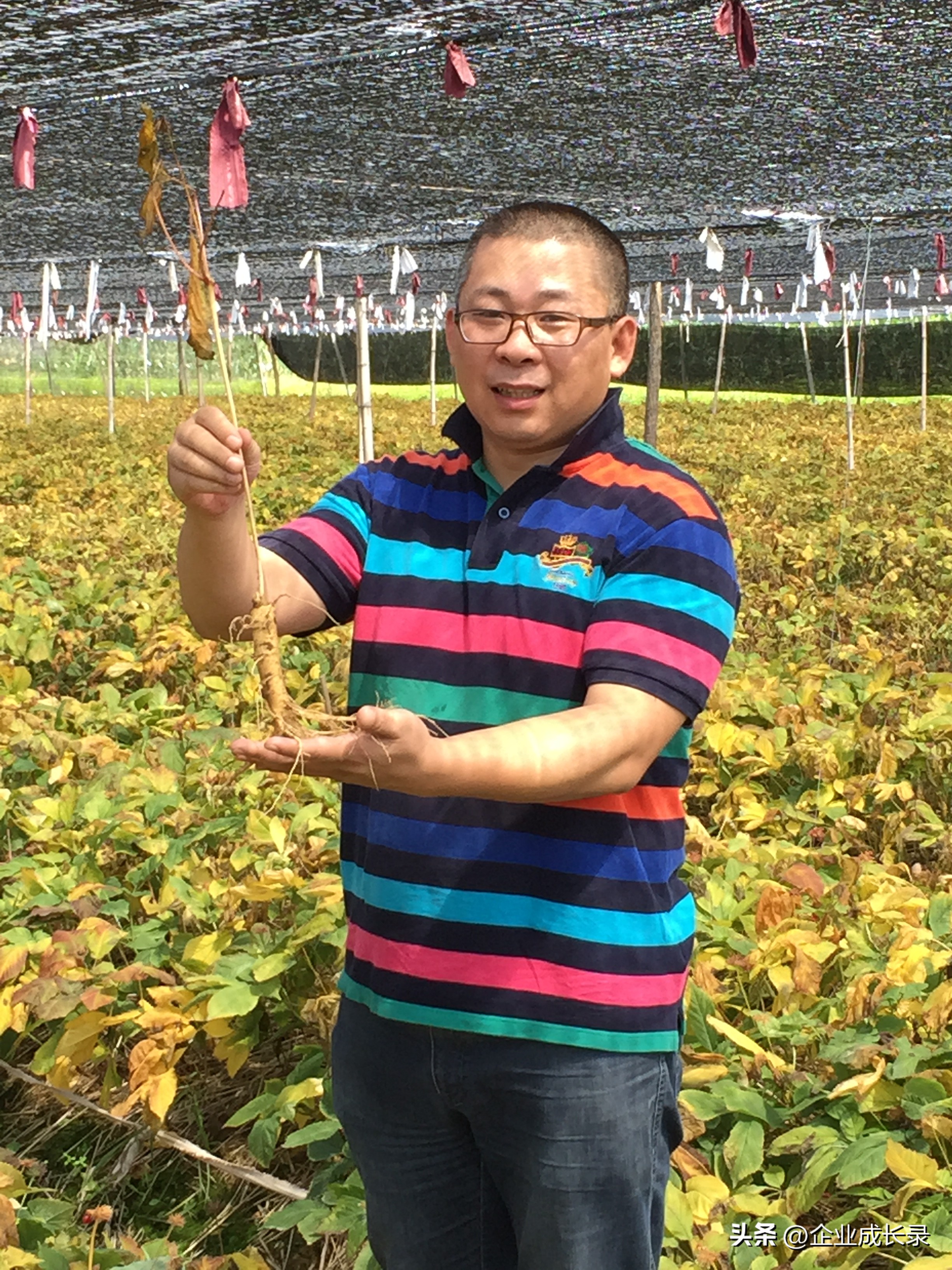 让养生成为习惯让健康成为必然,如何养生让自己更年轻健康