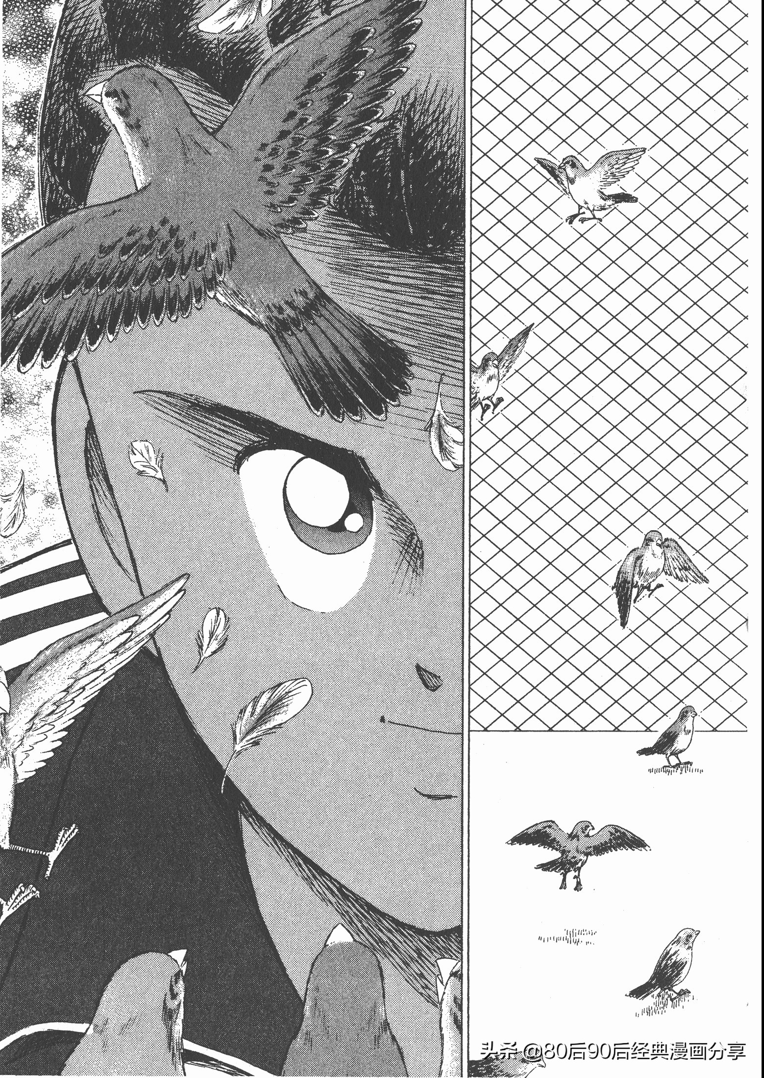 瓒崇悆灏忓皢roadto2002,瓒崇悆灏忓皢road2002