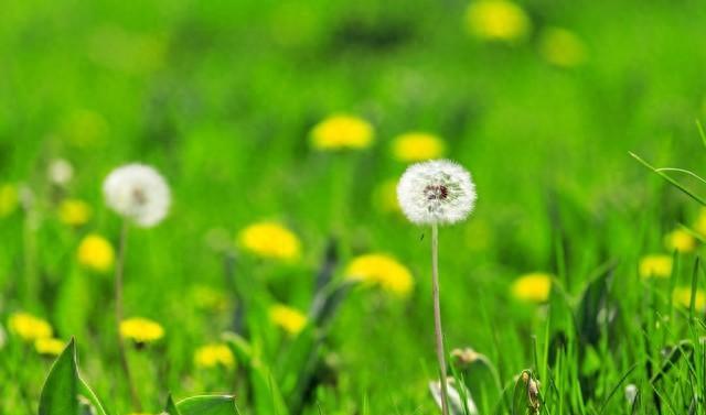 永恒的爱意一生的守候,永恒的爱心万年不变