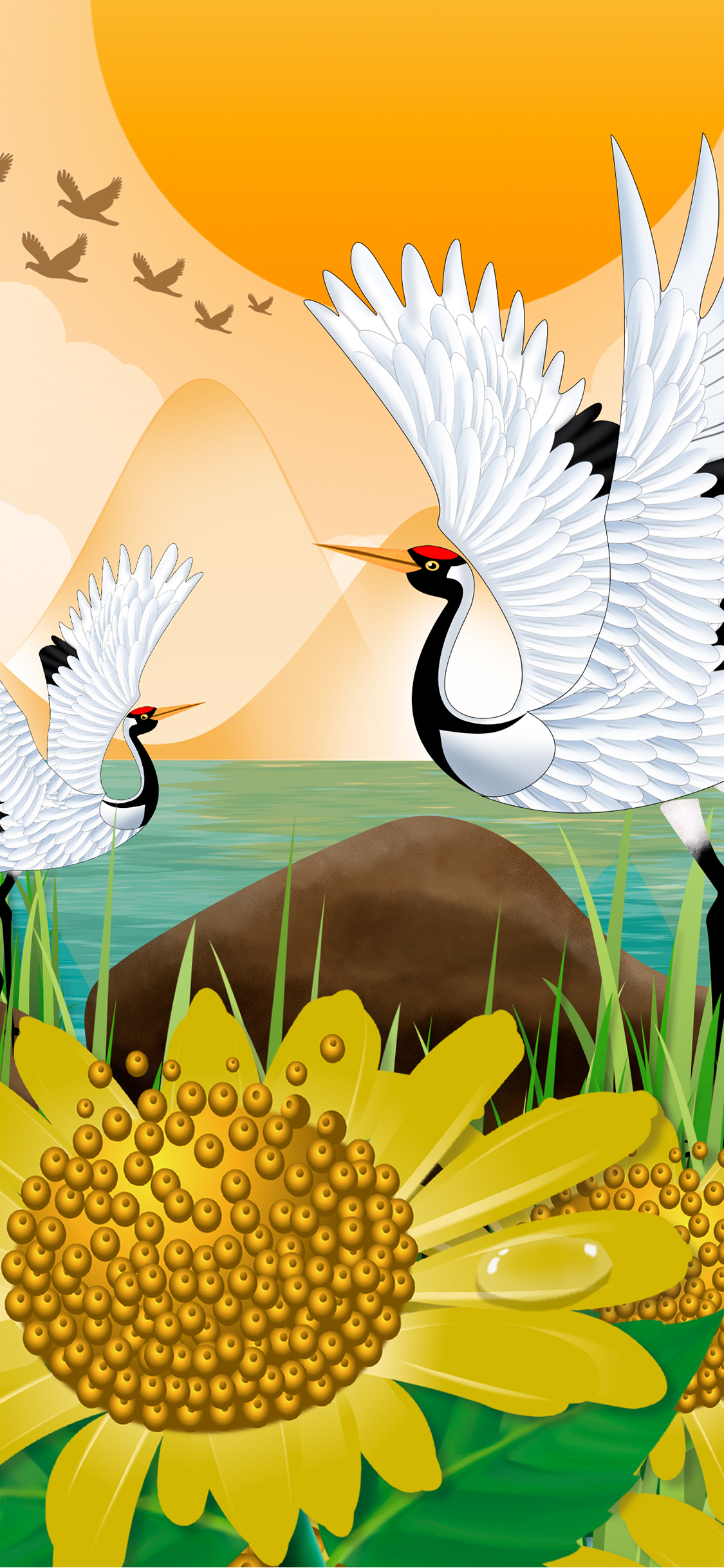 手机型号壁纸图片,169手机壁纸尺寸