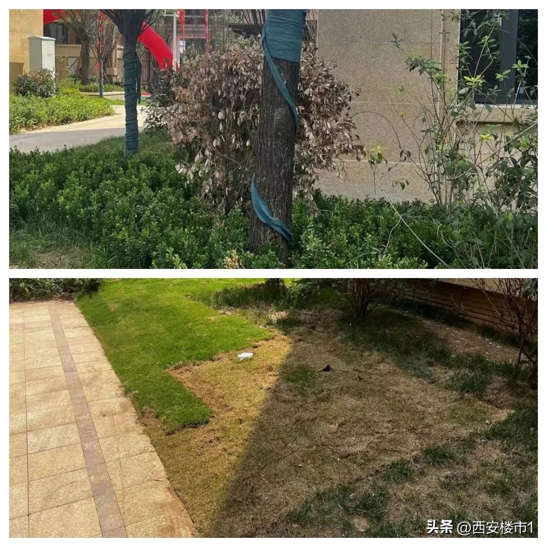 恒大悦龙台首批业主回家,恒大悦龙台值不值得买