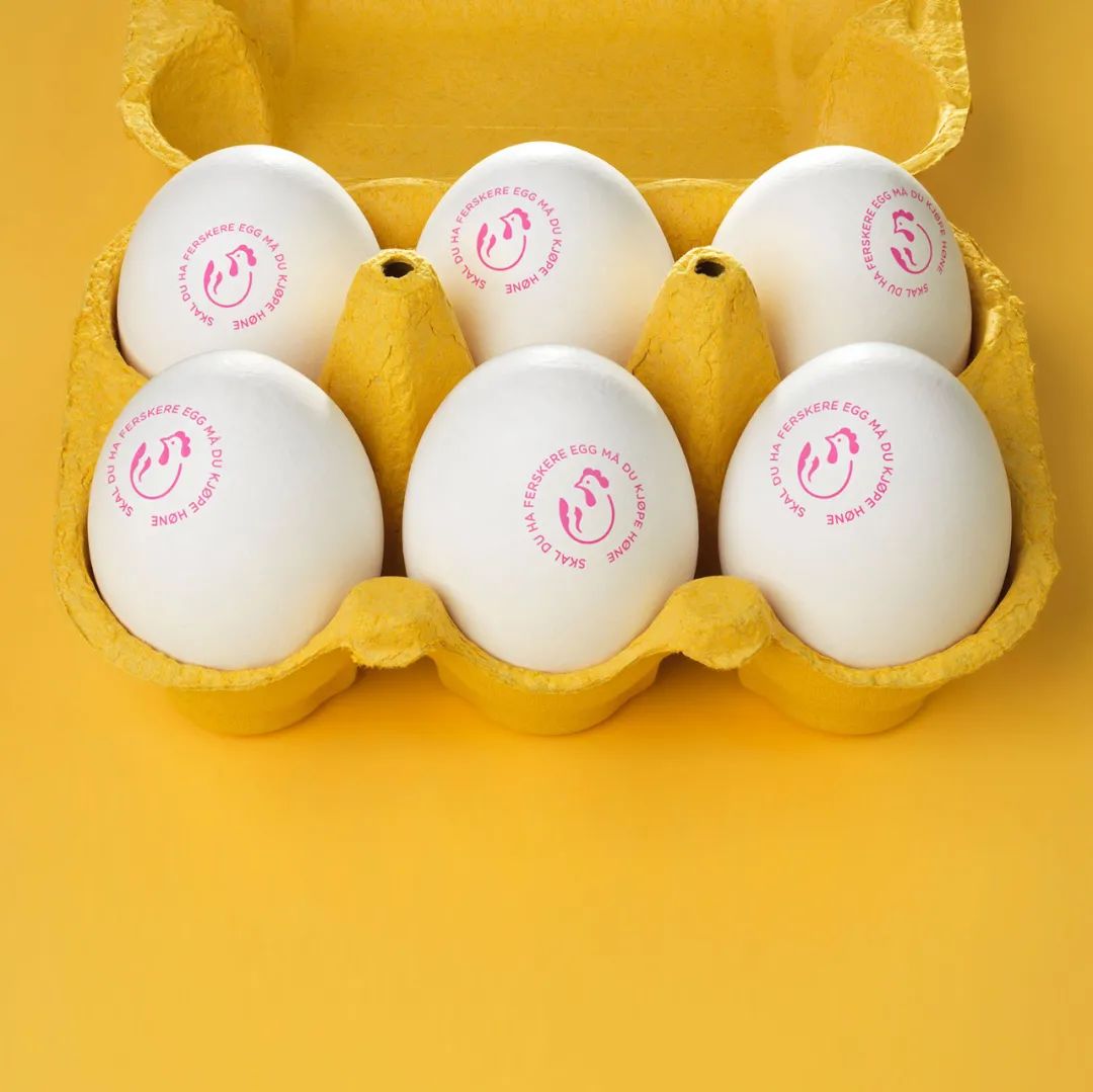 品牌鸡蛋包装设计定位方案,怎样设计鸡蛋最好的包装