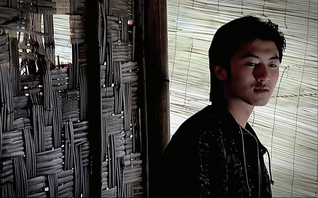 谢霆锋年轻时的颜值港风,谢霆锋颜值巅峰白发