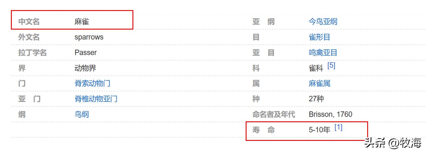 麻雀的寿命大约能活到多少,麻雀的寿命最长能活多少年