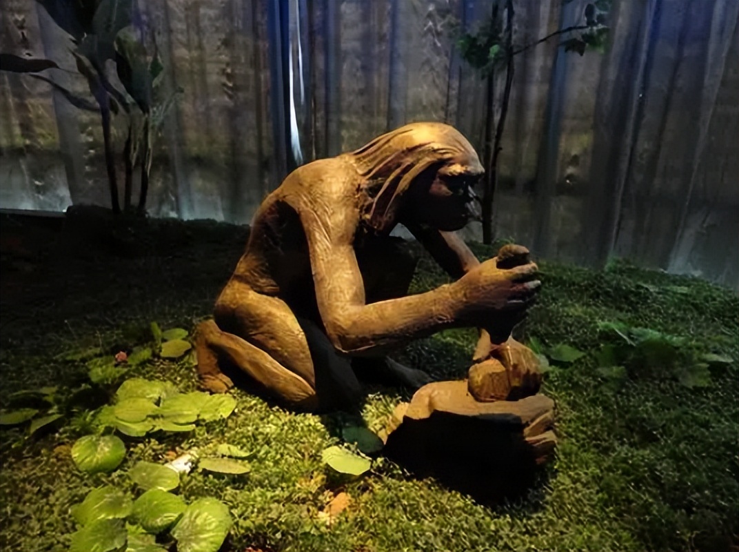 锯竹取火钻木取火擦木取火,石器时代取物