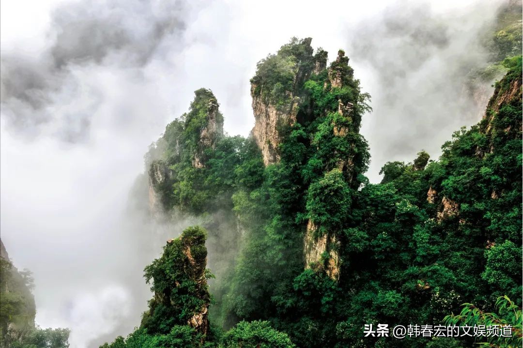 云赏美景,王莽岭美景