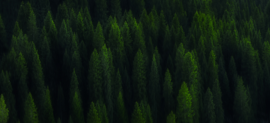 优秀团队推荐书,打造优秀团队的经典案例