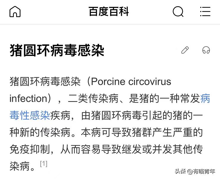 被央视曝光的猫粮,进口猫粮与国产猫粮能掺起来吃吗