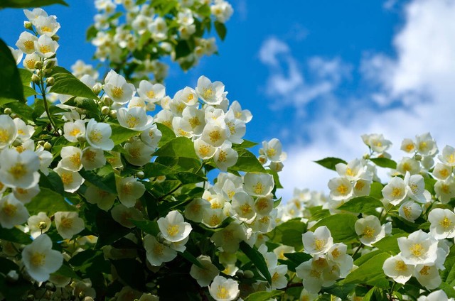 社群营销的社群福利如何设计,社群经济如何利用社群做营销