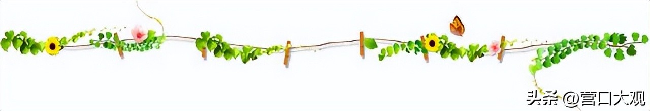 营口封闭到什么时候,营口到盘锦发布封路通告