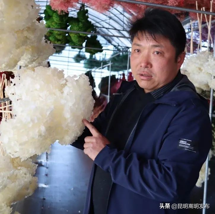 嵩明永生花店 (嵩明永生花)