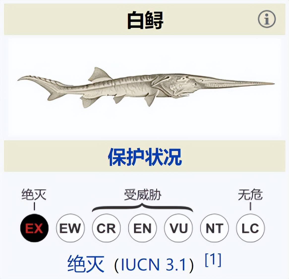 长江十年禁渔为什么鱼越来越少,长江十年禁渔后鱼怎么变多了