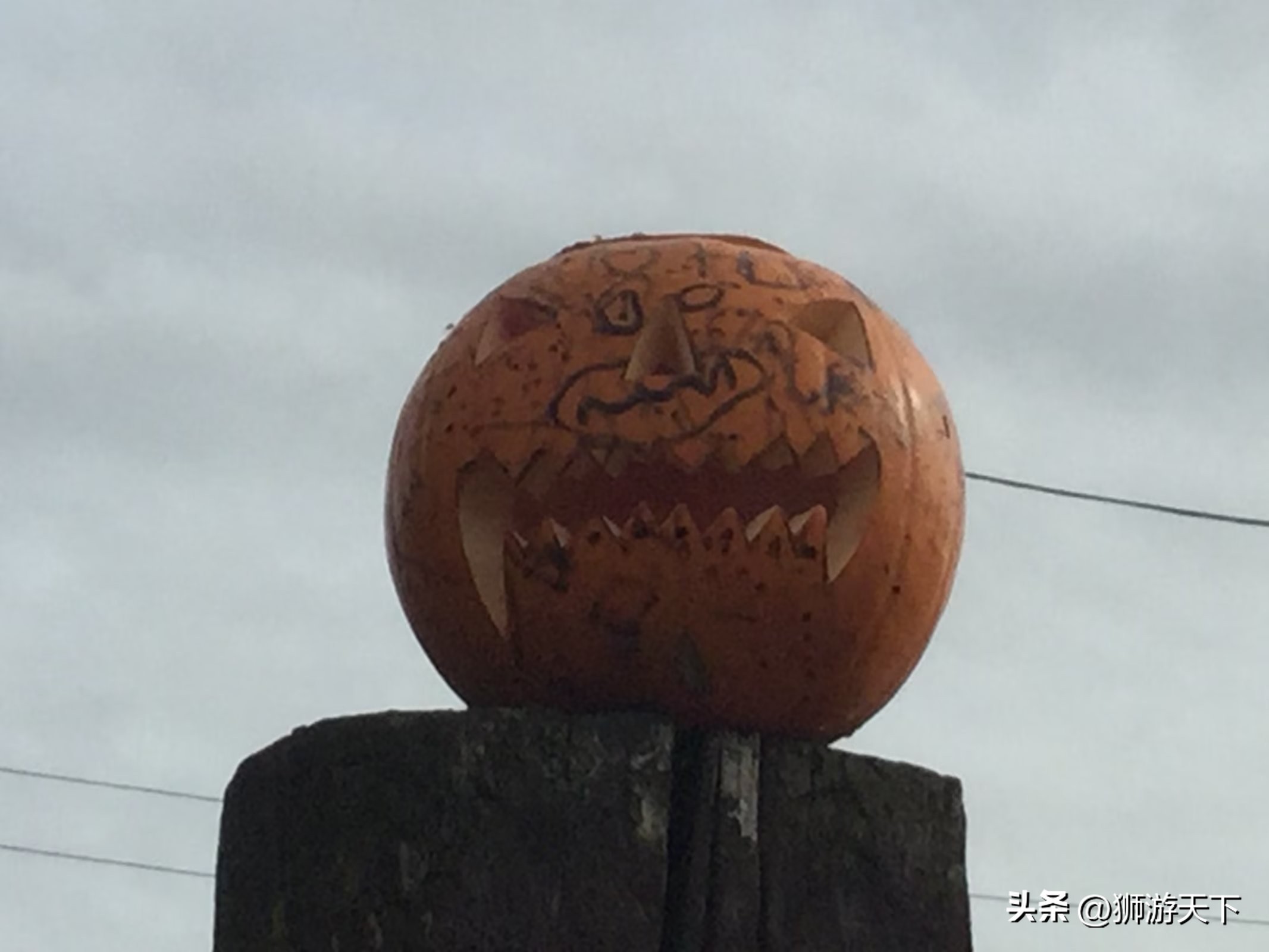 英国陪读活动,英国陪读的日常