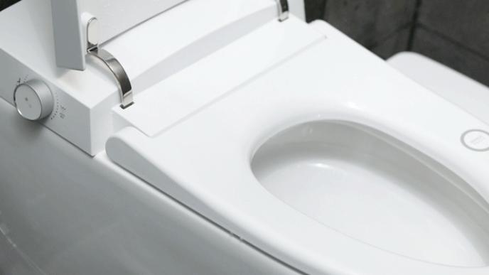 智能马桶让你上厕所无忧无虑,让所有人都用上智能马桶