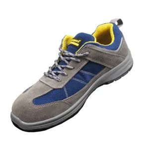 劳保云之旅（八）