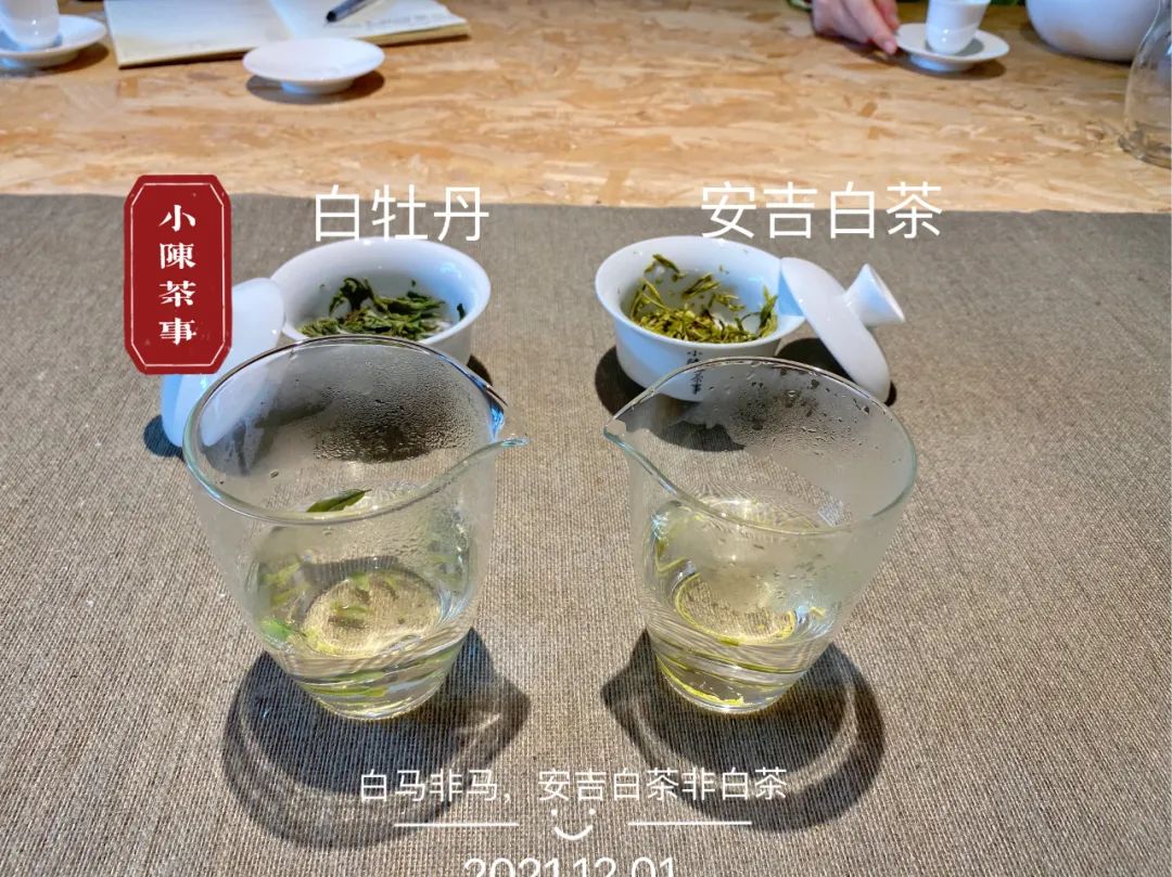 安吉白茶是六大茶类的白茶吗,六大茶类安吉白茶是什么