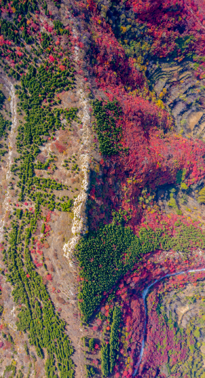 济南赏秋,秋天济南去哪里赏秋最好