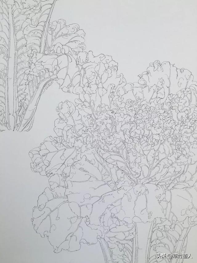 绘画艺术形象及其审美意义,中国绘画的审美特点4字