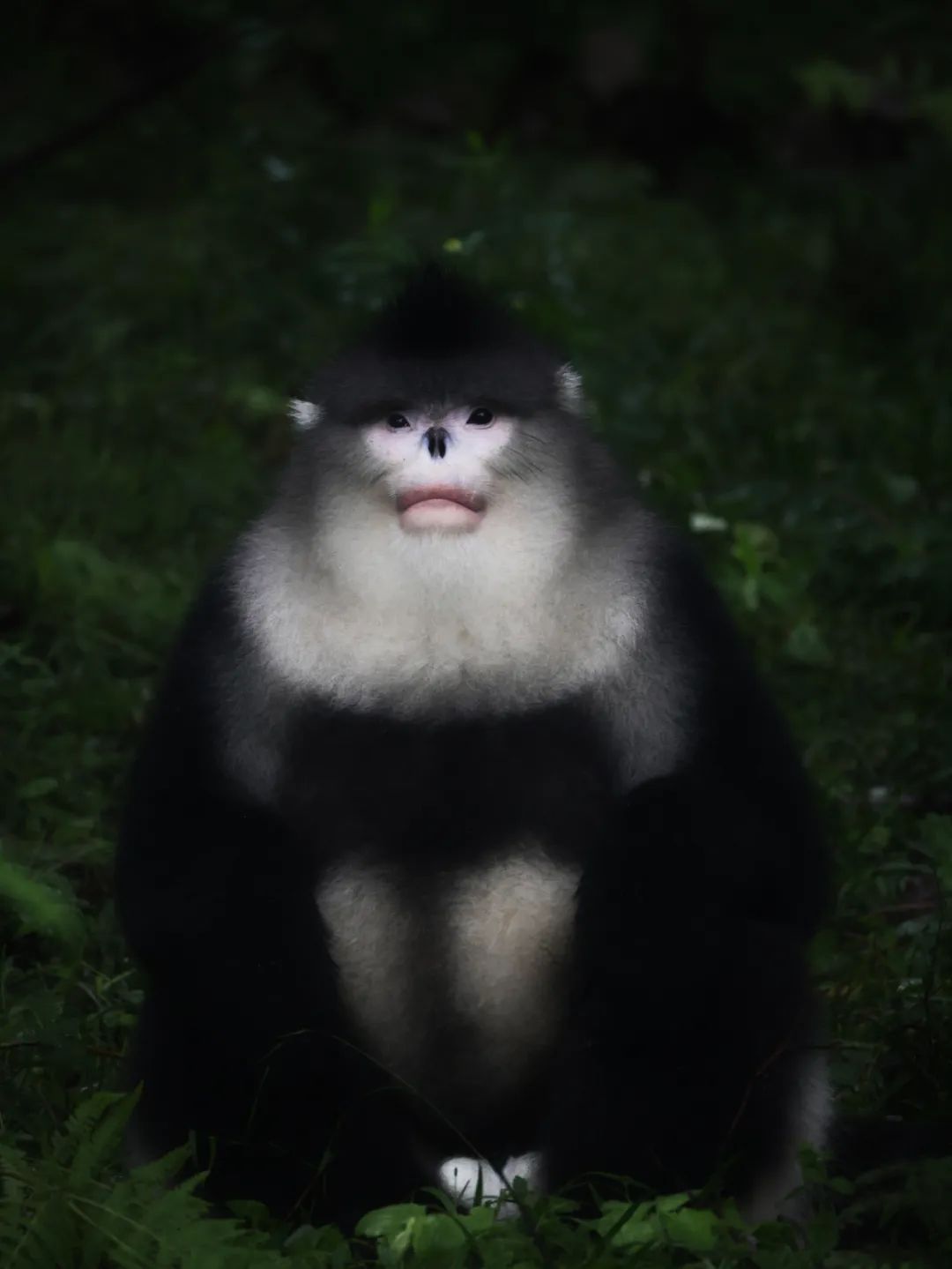 昆明七彩云南怎么样,七彩云南避暑家园