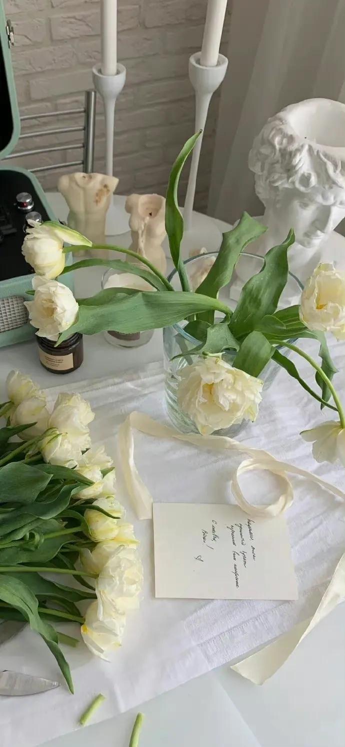 夏季清新凉快的壁纸高清,夏天一看就很凉爽的壁纸