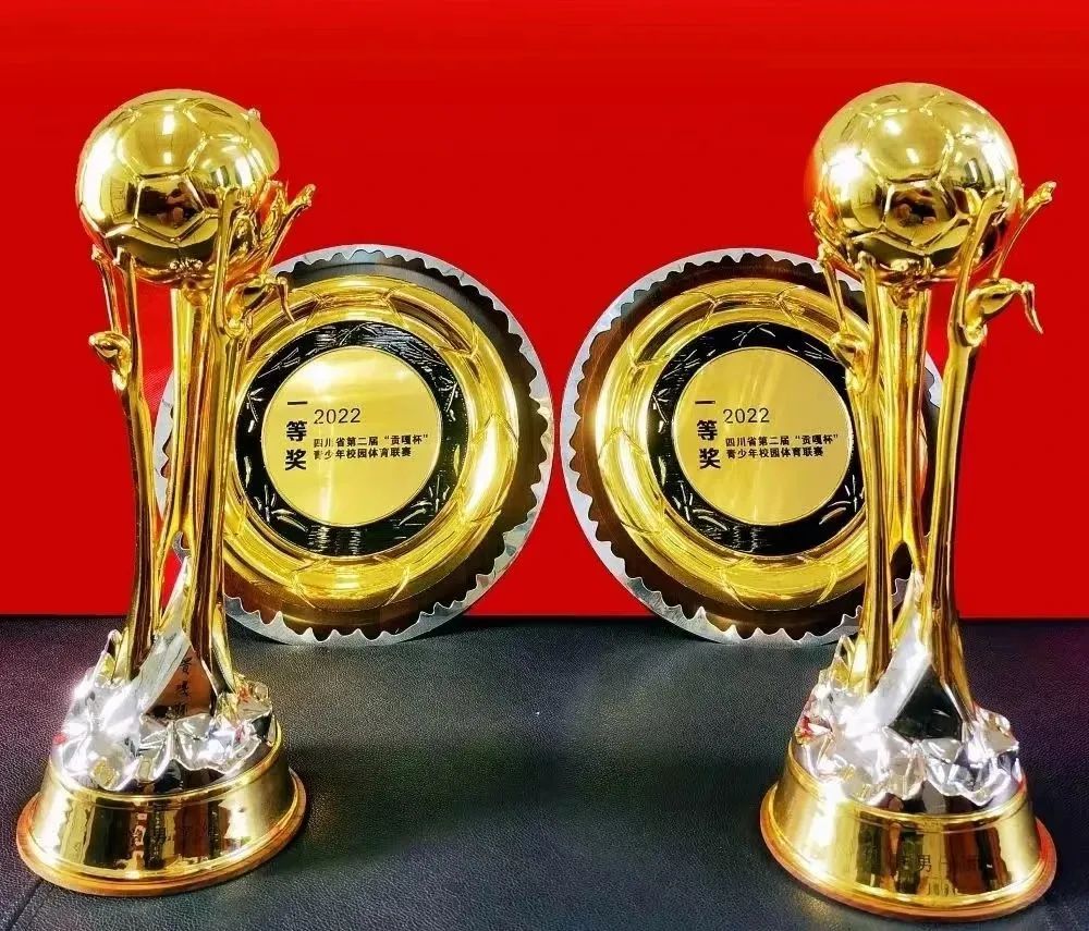 2024四川贡嘎杯足球初中组决赛,宜宾一中vs绵阳南山贡嘎杯