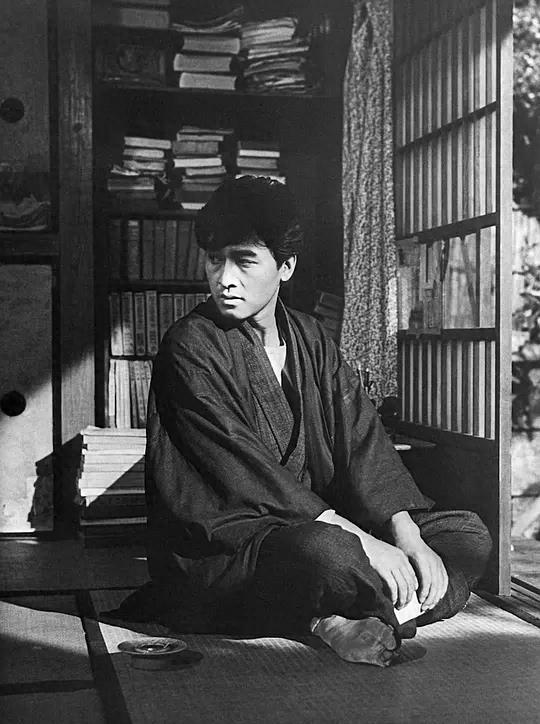 林芙美子放浪记,放浪记小说