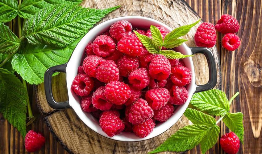 种植业什么最赚钱农村,农村种植创业成功的方法有哪些