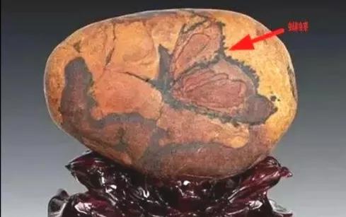 捡石头渐渐成为一种职业，挣钱吗？不少人发了