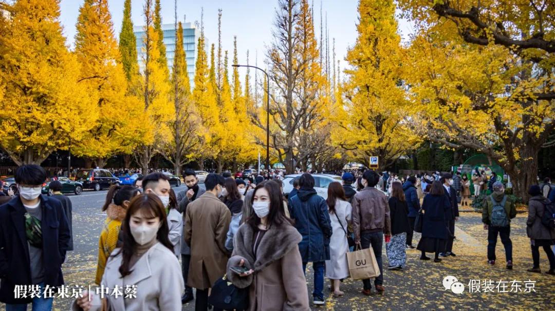 365张照片回顾,365张相片