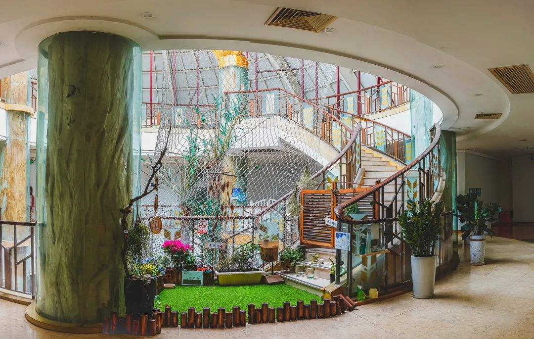 国际蒙氏幼儿园,深圳南山蒙氏幼儿园