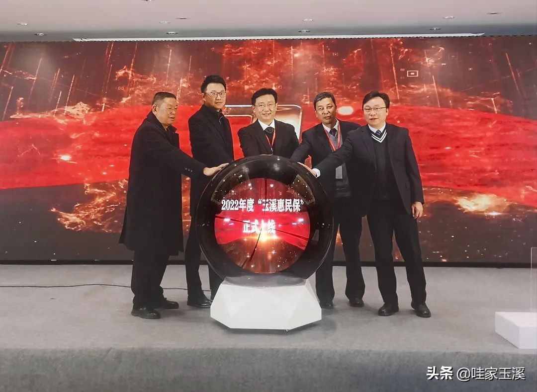 玉溪惠民保是什么保险多少钱一年,玉溪惠民保怎么办理