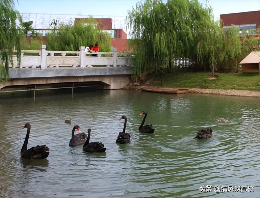 男女比例1:9的江西“吃饭”大学，美女如云！