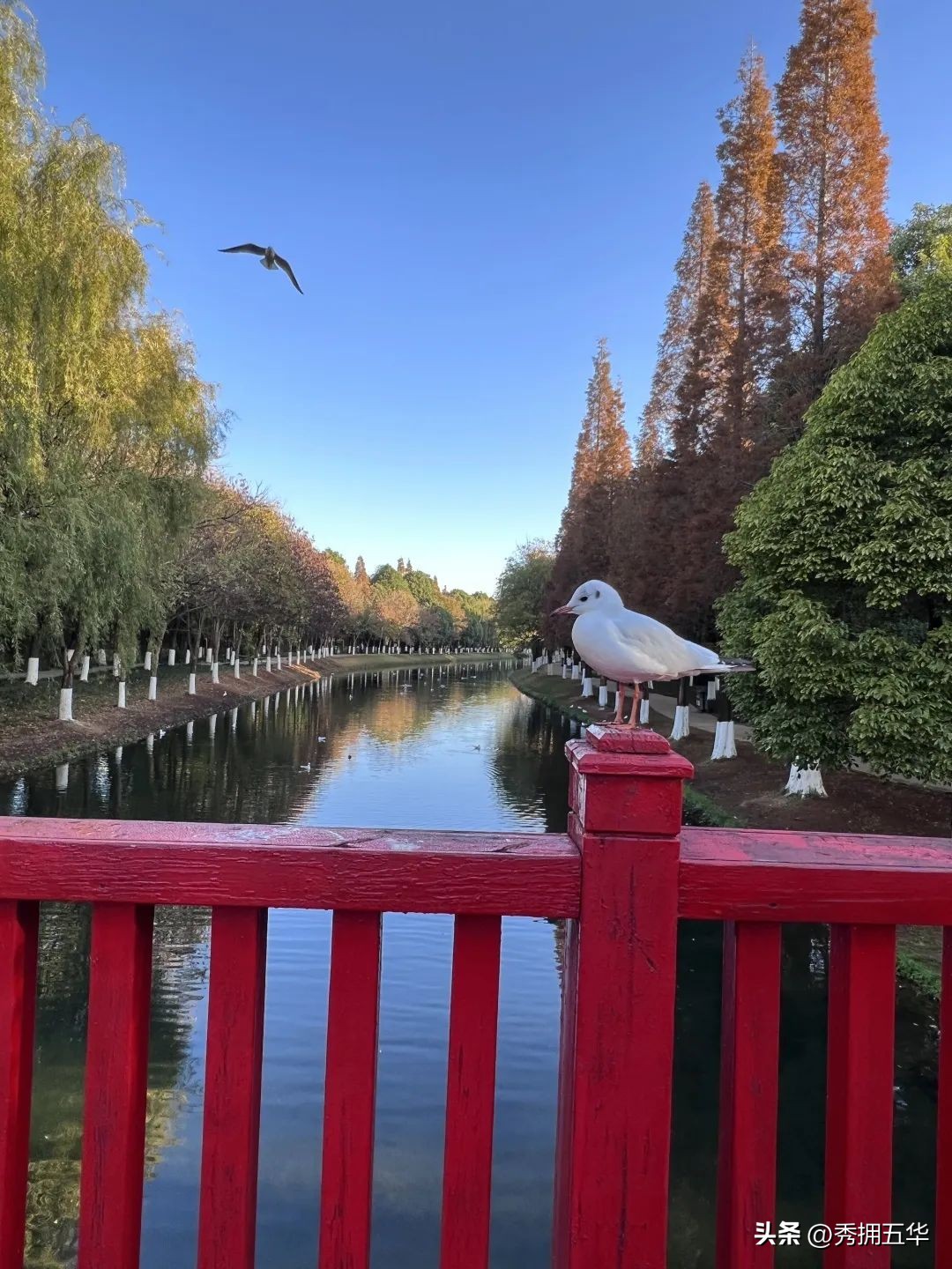 哇晒昆明|最爱为运动花钱的昆明人，有啥花样玩法？