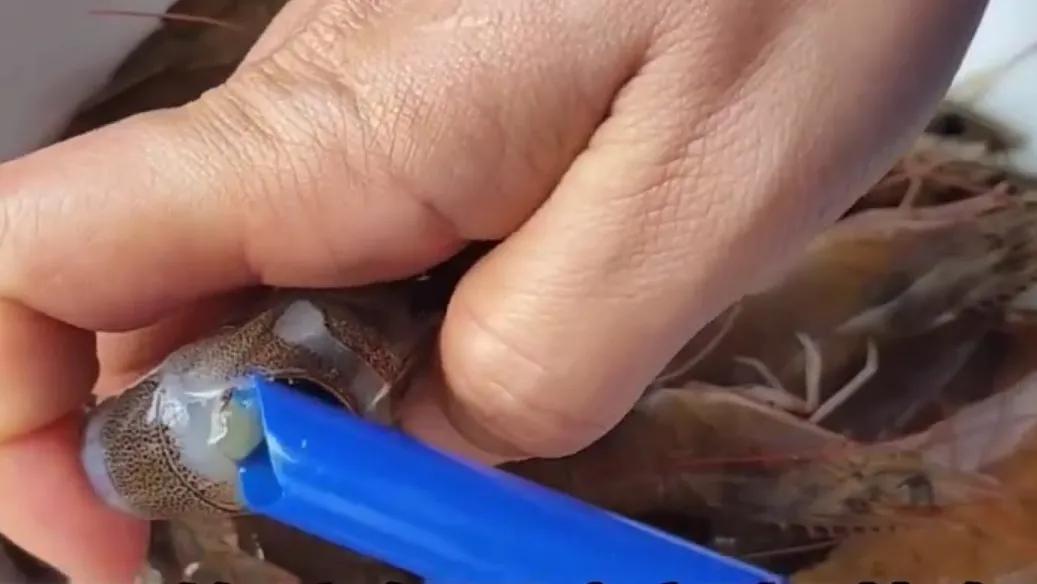 小妙招大作用教你一招,小妙招大作用见效快