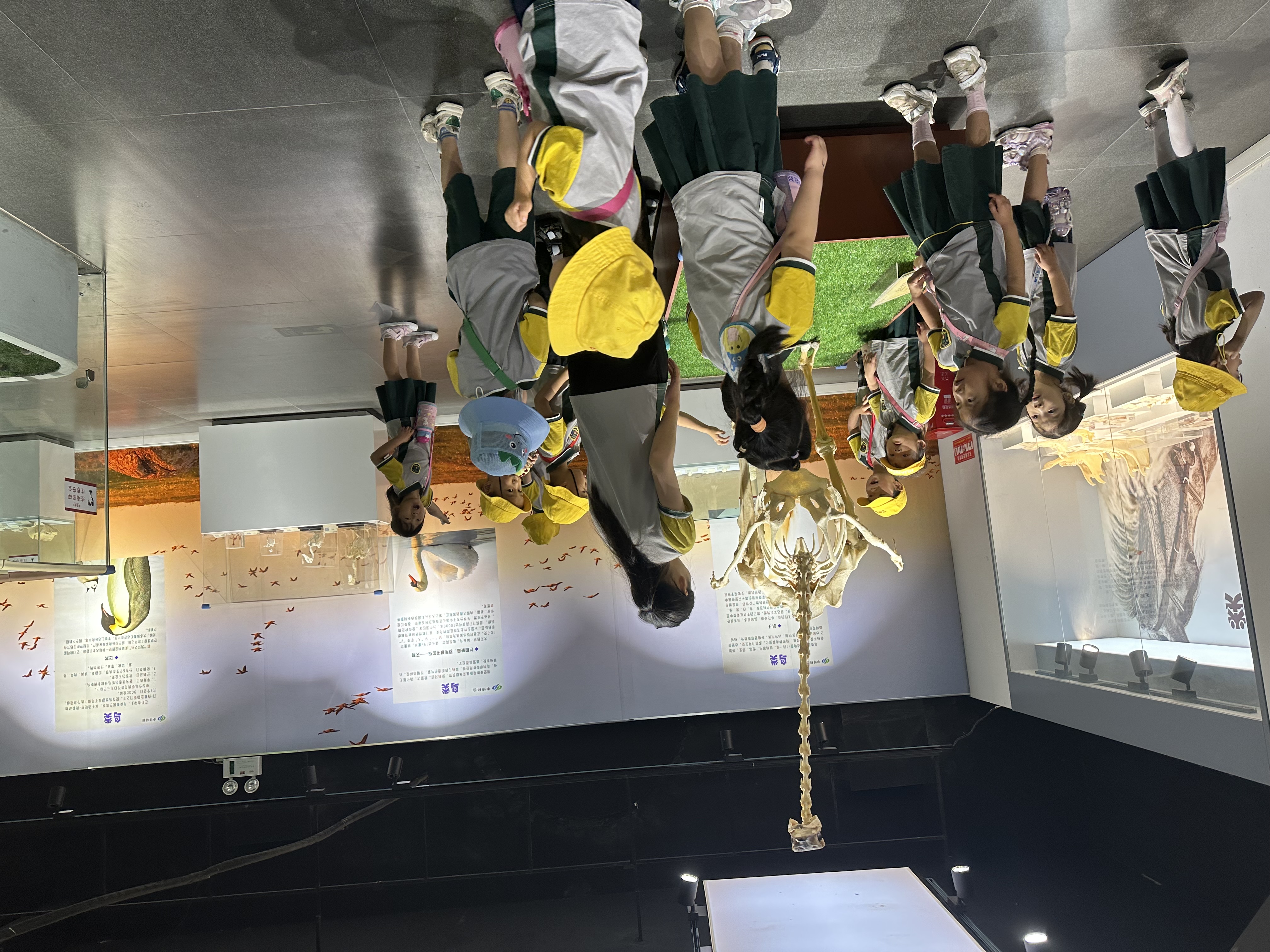 端午节适合郑州旅游的地方,郑州端午节适合旅游的地方