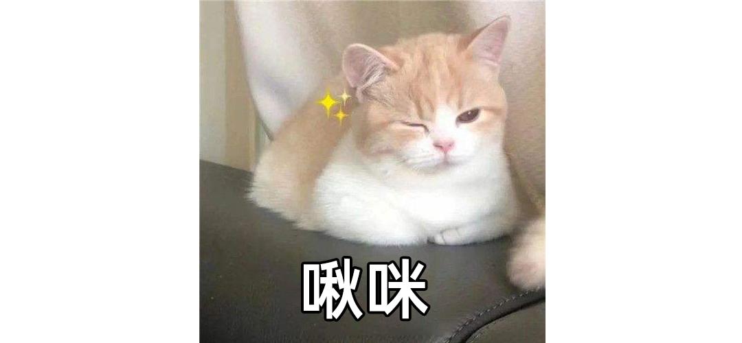 租房的电费总感觉有猫腻找谁查看,租房电费有猫腻怎么办