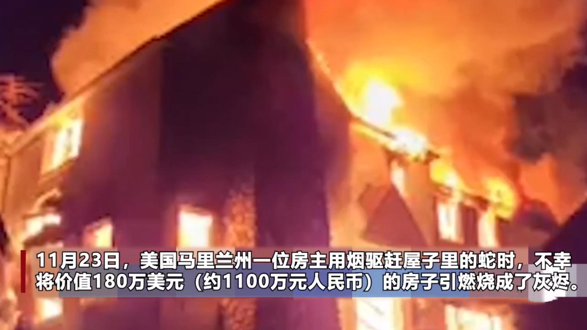 一男子发现蛇窝,挖蛇窝发现30条蛇