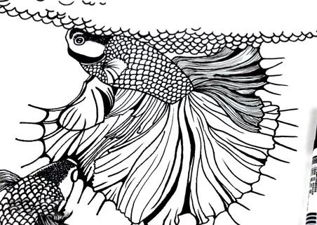 斗鱼米娜跳舞,斗鱼美女舞蹈