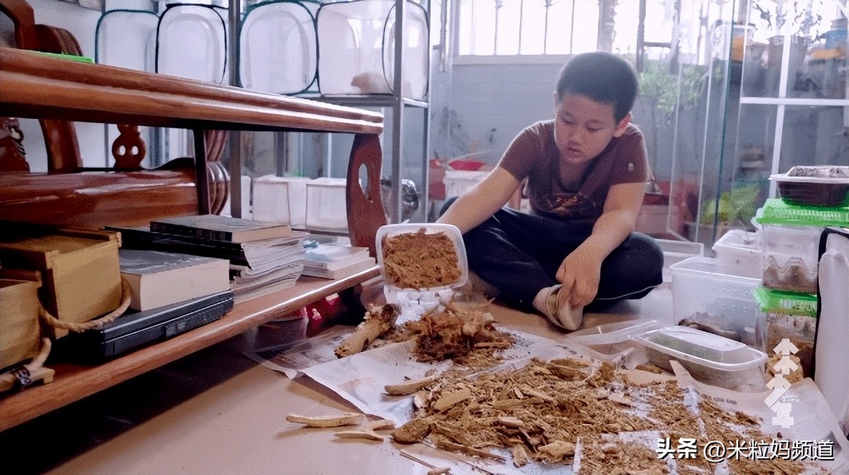 热搜电影上的两个小女孩,两个小女孩上热搜