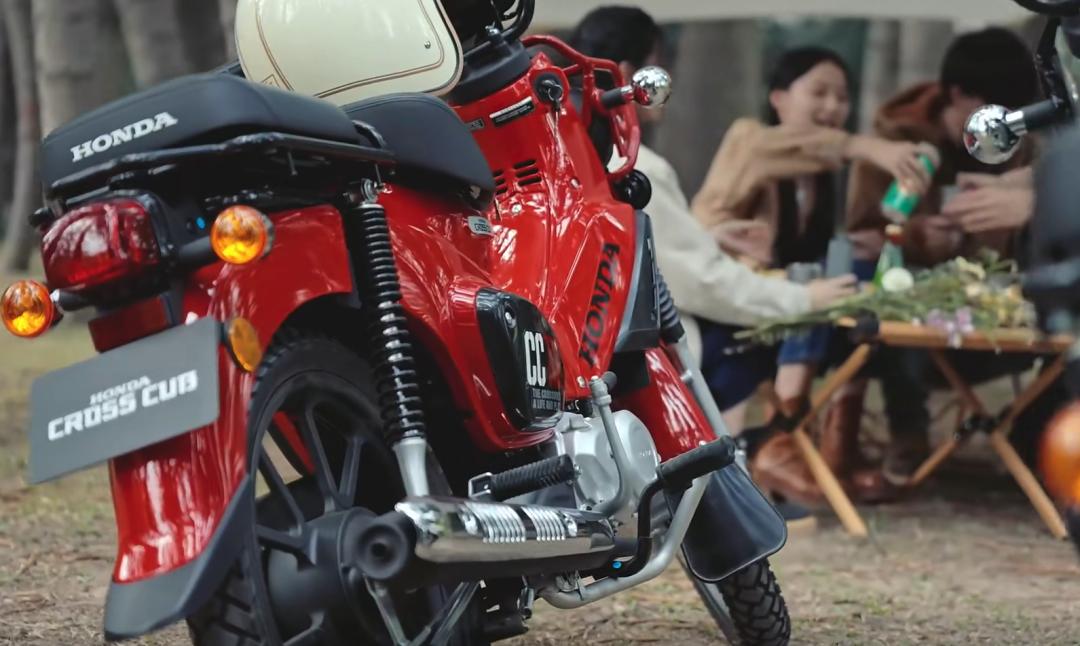 cc110幼兽值得买吗,幼兽cc110详细测评