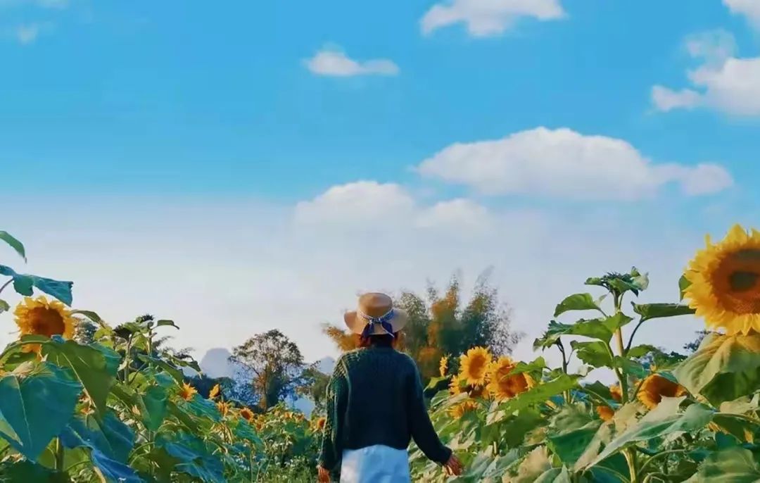 南宁徐霞客出游攻略,徐霞客在广西住了多少年