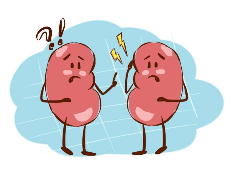 引发尿毒症出现的病因是什么呢,急性尿毒症会遗传下一代吗